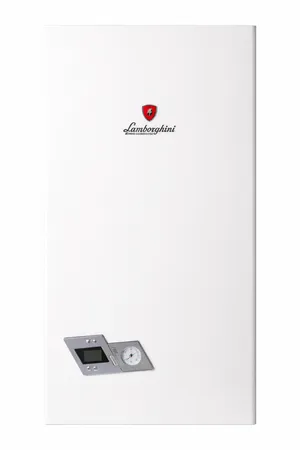 Kombi üçün qaz qazanı Ferroli SB F 24