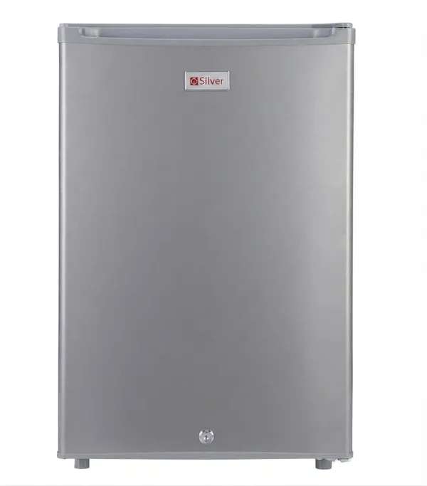 Mini soyuducu Silver LZ-773831 Defrost birqapılı boz. — холодильники