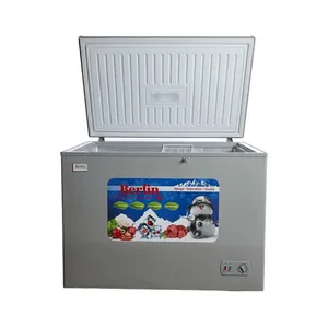 Dondurucu Berlin BR-300CFR Gray