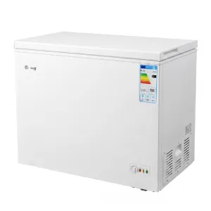 Dərin Dondurucu oneX BDO-300A