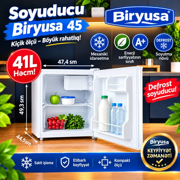 Mini soyuducu Biryusa 41 l A+ ağ — soyuducular