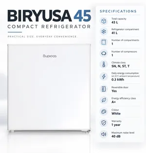 Mini soyuducu Biryusa 45, birqapılı