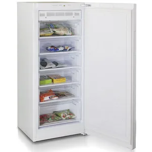 Dondurucu kamera Biryusa 6046 SN