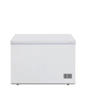 Dondurucu qutu Biryusa 305KX 285L