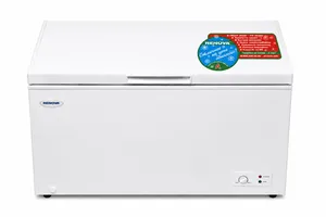 Dondurucu qutu Renova White 310 l