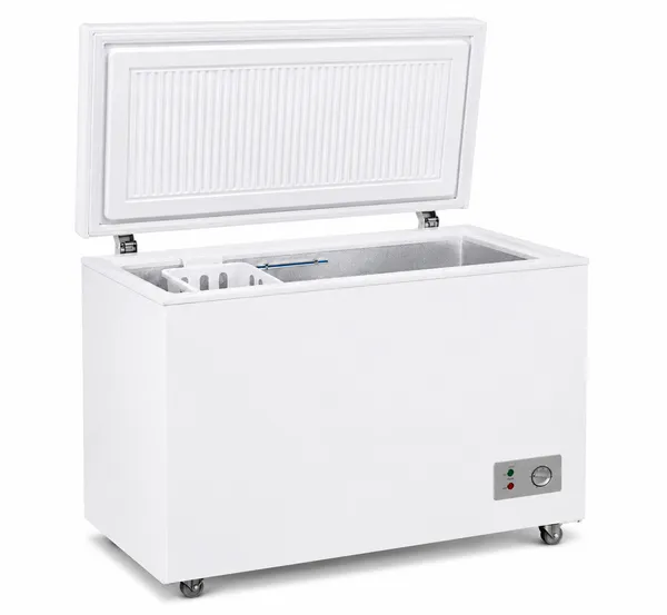 Dondurucu qutu Biryusa De Frost White 260 l — dondurucular