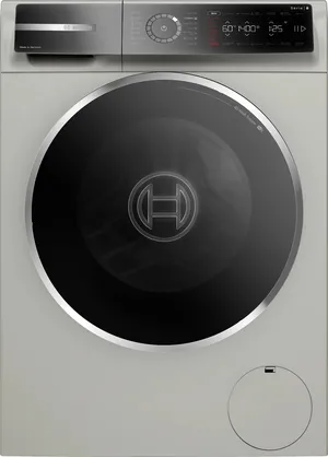 Paltaryuyan maşını Bosch WGB2441XME