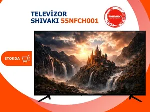 Shivaki 55NFCH001